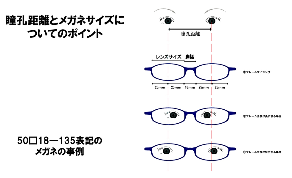 瞳孔距離とメガネサイズのおはなし